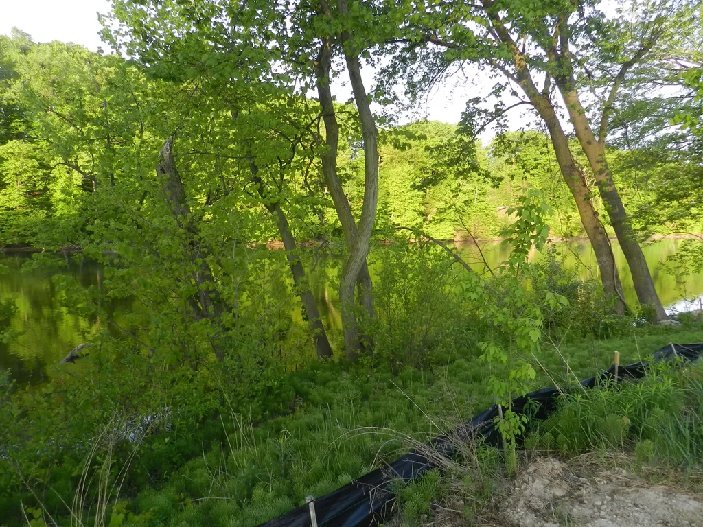 558 Swan River Drive Benton Charter Township MI 49022