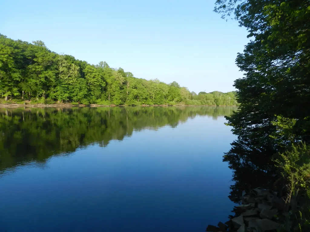 558 Swan River Drive Benton Charter Township MI 49022