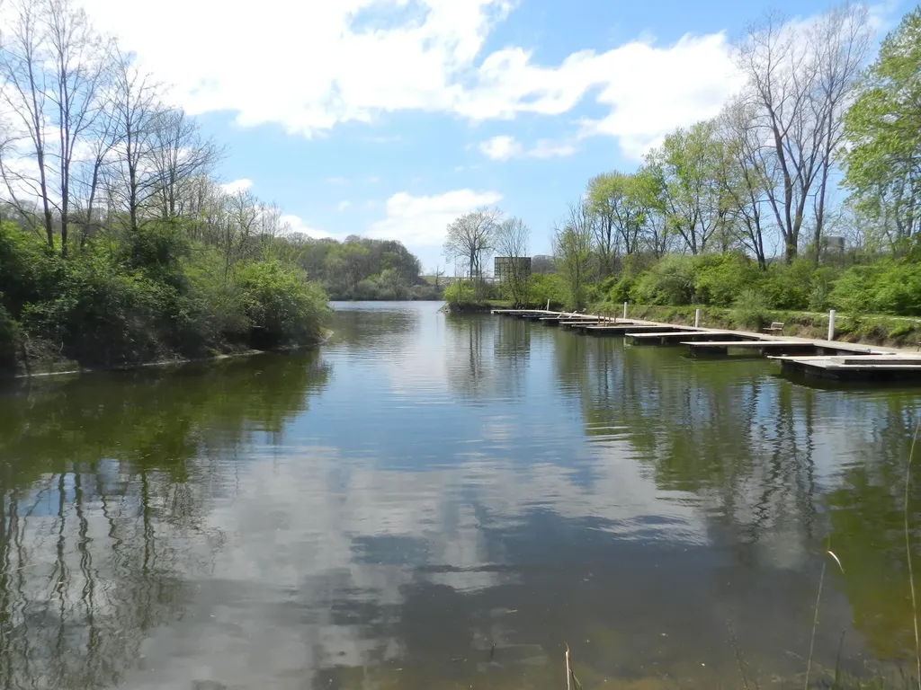 558 Swan River Drive Benton Charter Township MI 49022