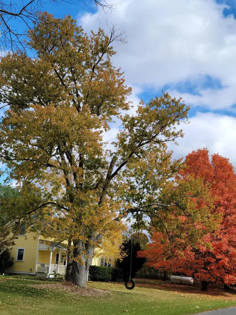 6475 Olive Branch Road Bertrand Township MI 49113