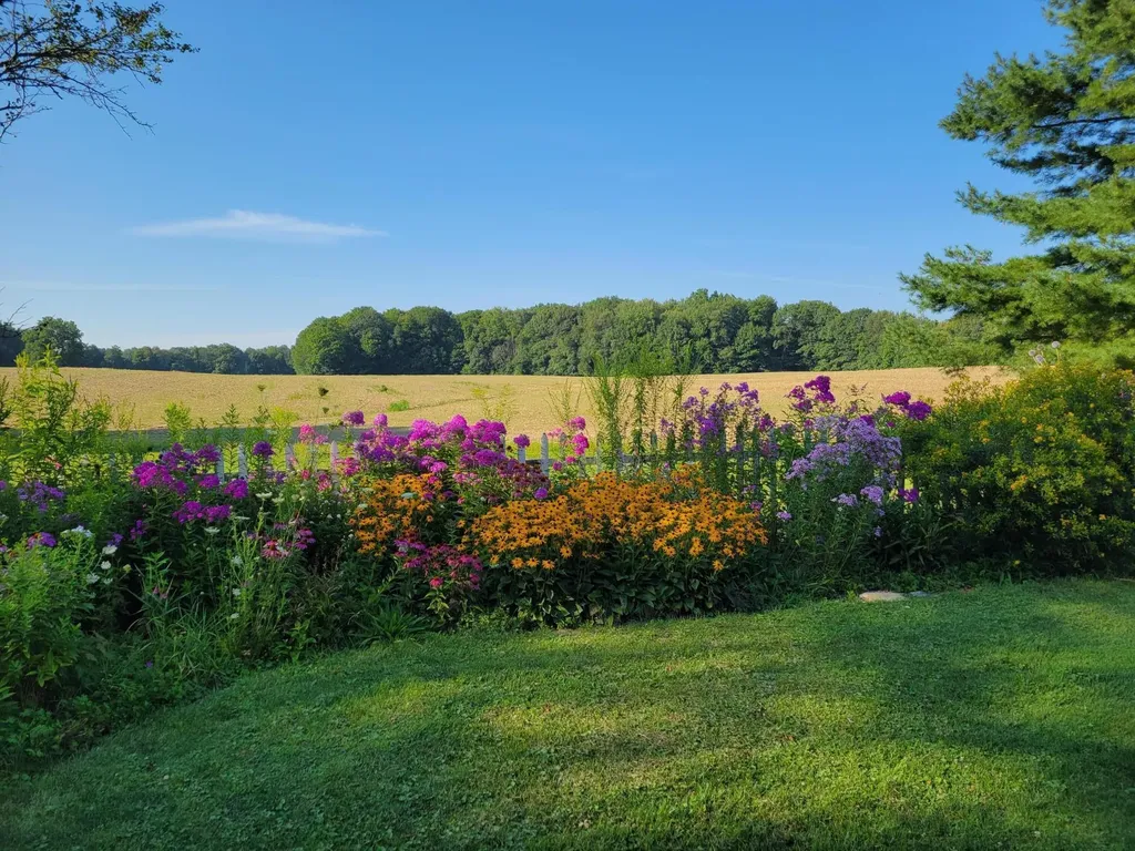 6475 Olive Branch Road Bertrand Township MI 49113