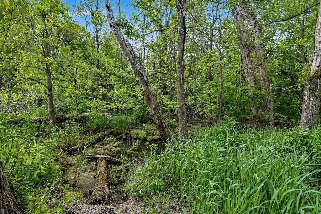 5494 Old Pipestone Road Pipestone Township MI 49111