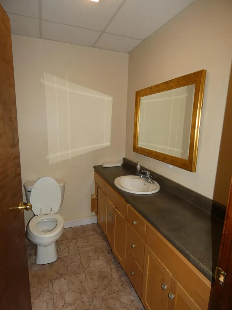 1211 E Napier Avenue Benton Charter Township MI 49022