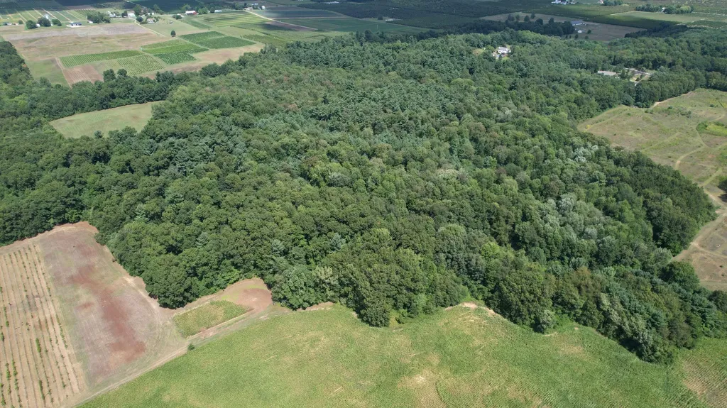 545 Biastock Road Bainbridge Township MI 49022