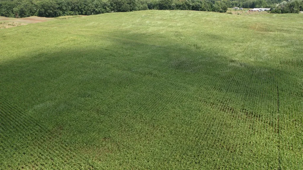 545 Biastock Road Bainbridge Township MI 49022