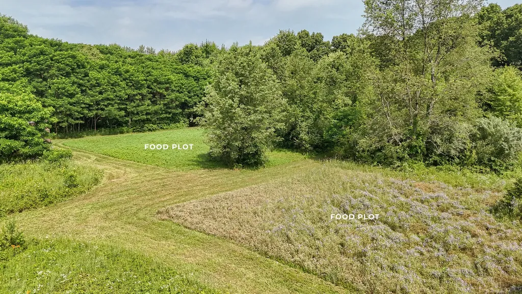 86960 County Road 681 Keeler Township MI 49045
