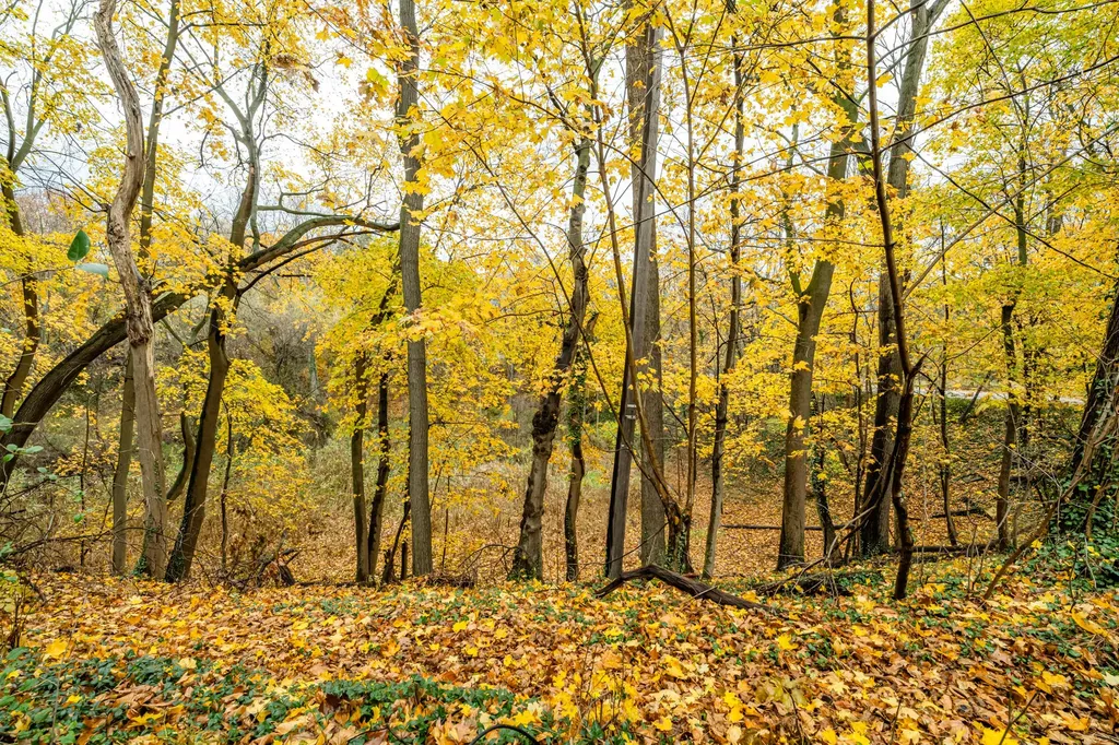 St. Joseph Charter Township MI 49022