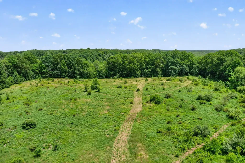 64030 Chain Lake Street Calvin Township MI 49031