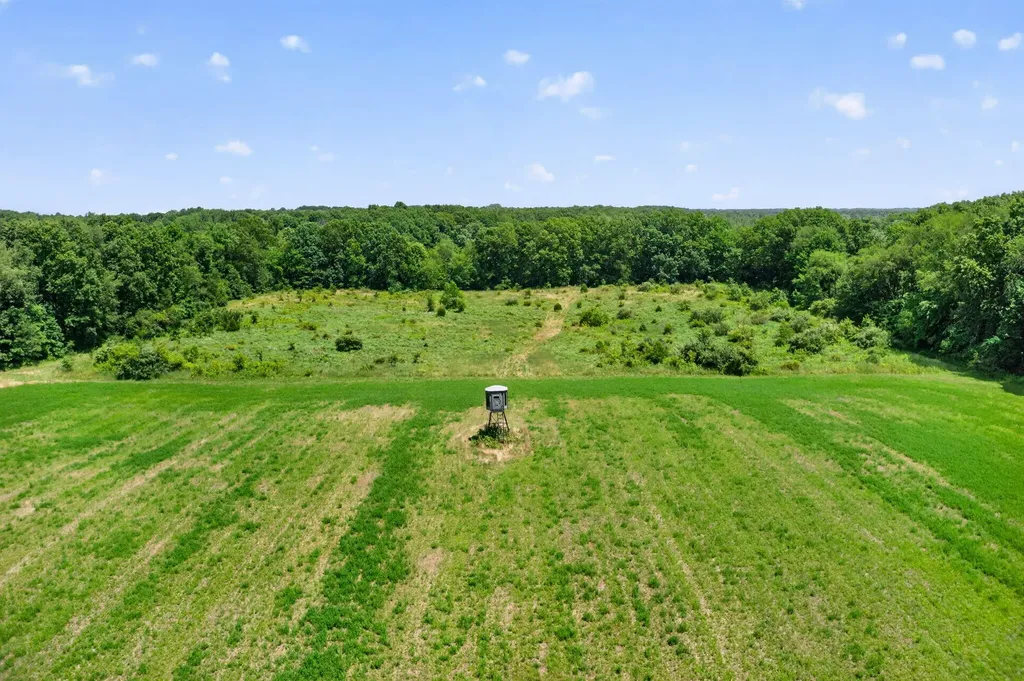 64030 Chain Lake Street Calvin Township MI 49031