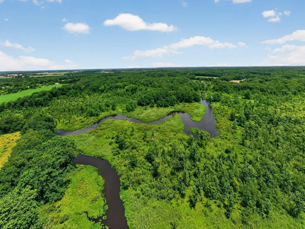 64030 Chain Lake Street Calvin Township MI 49031