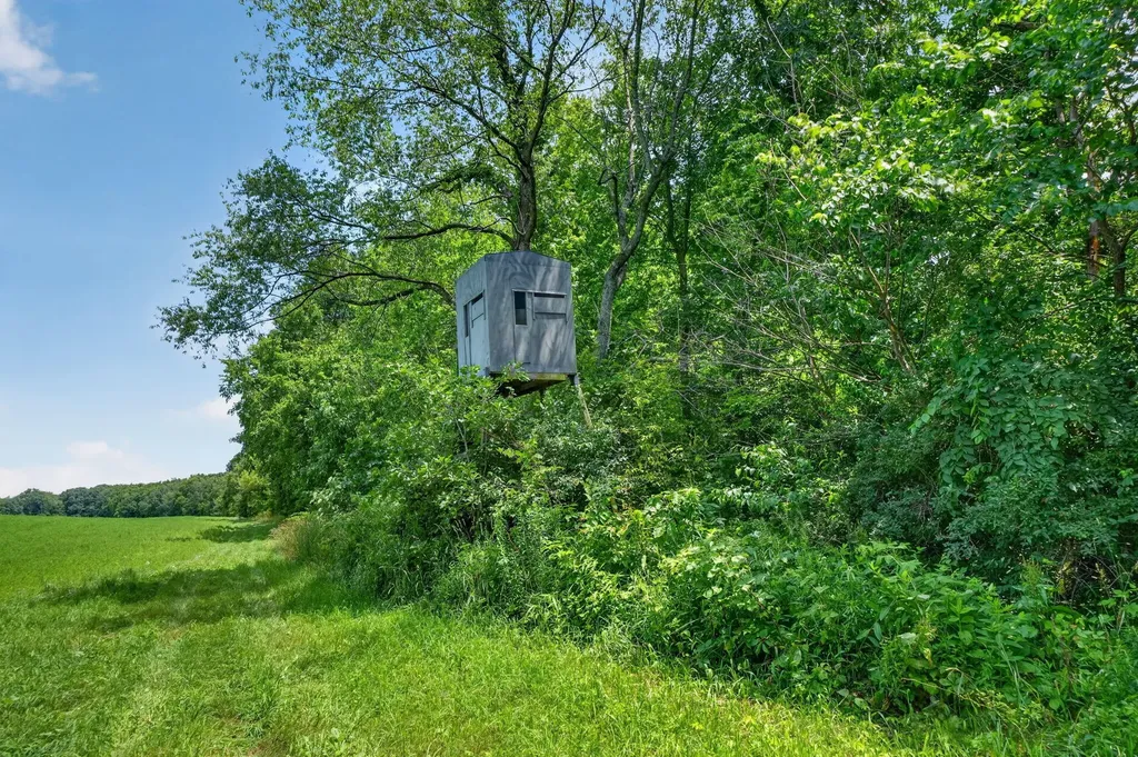 64030 Chain Lake Street Calvin Township MI 49031