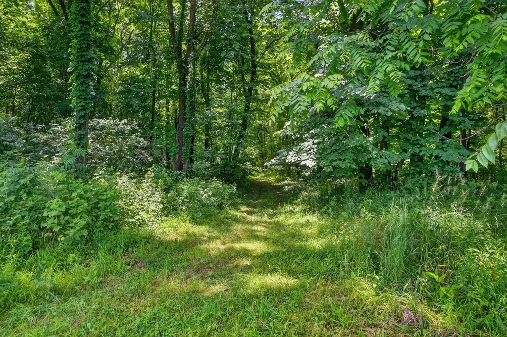 64030 Chain Lake Street Calvin Township MI 49031