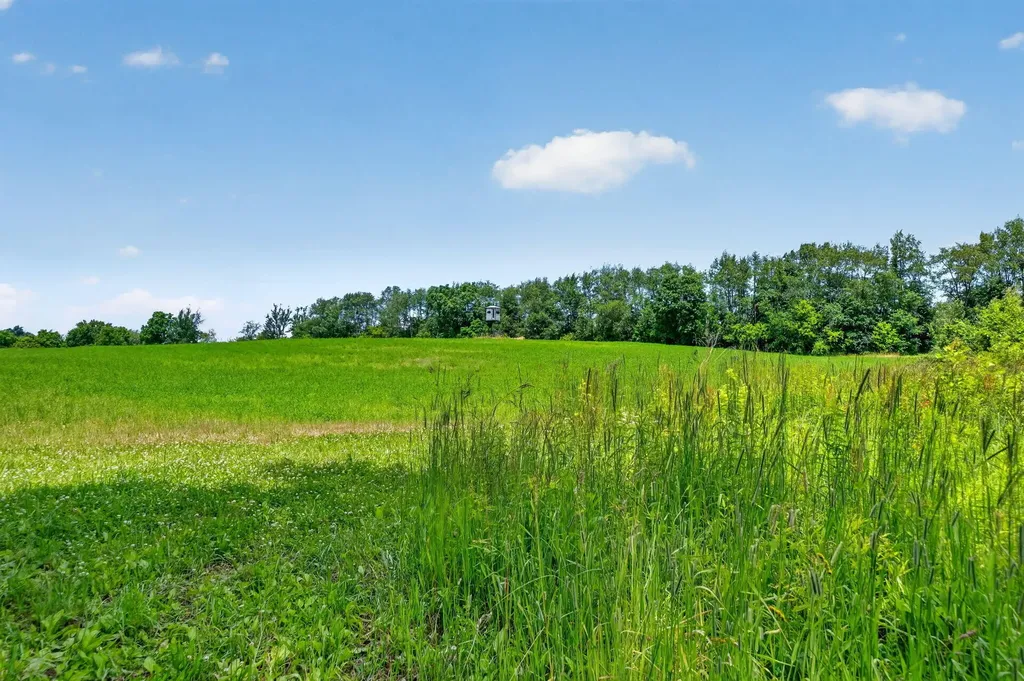 64030 Chain Lake Street Calvin Township MI 49031