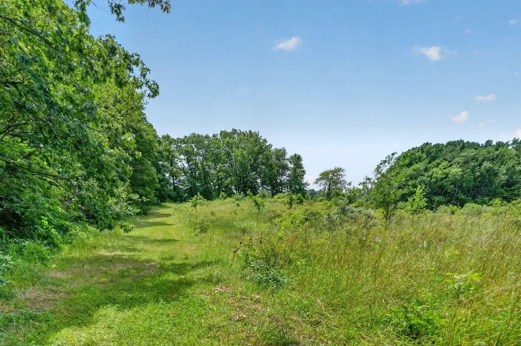 64030 Chain Lake Street Calvin Township MI 49031