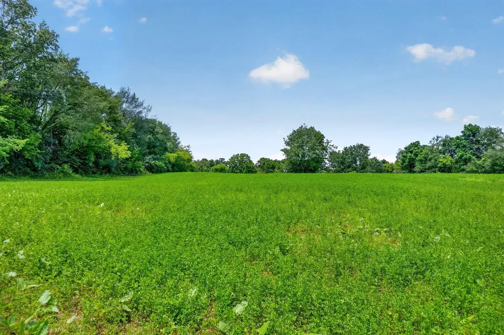64030 Chain Lake Street Calvin Township MI 49031