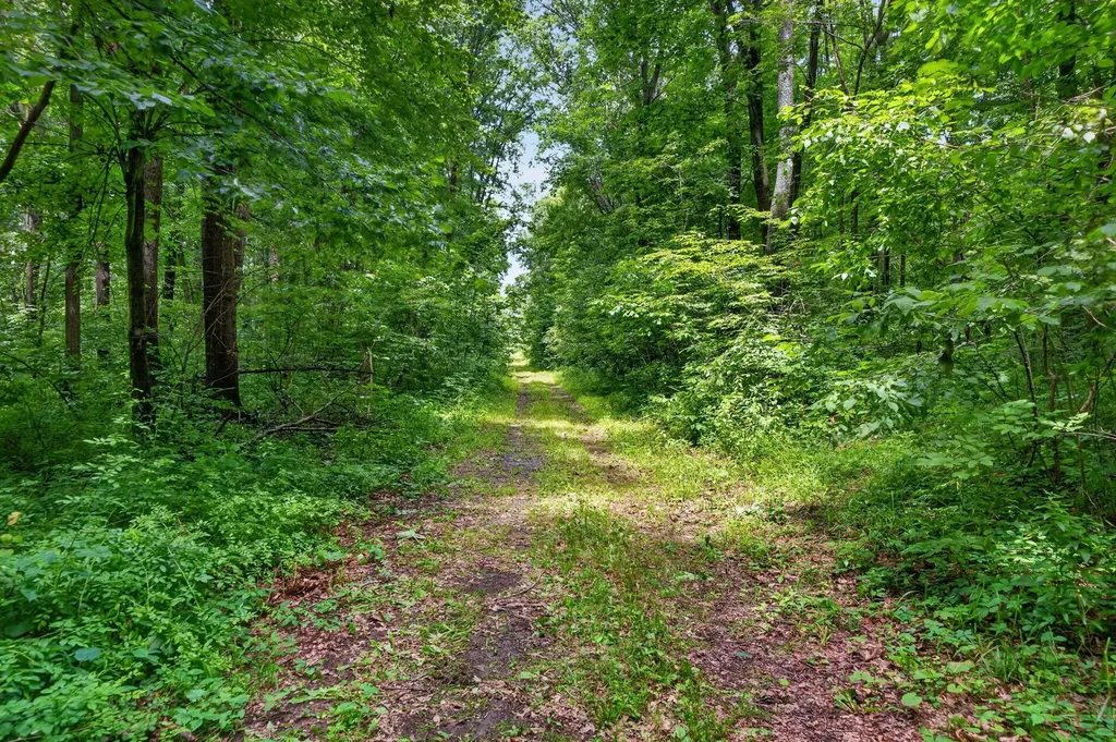 64030 Chain Lake Street Calvin Township MI 49031