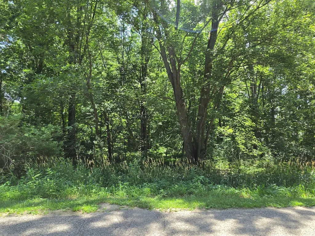14667 S Tripp Road Amboy Township MI 49232