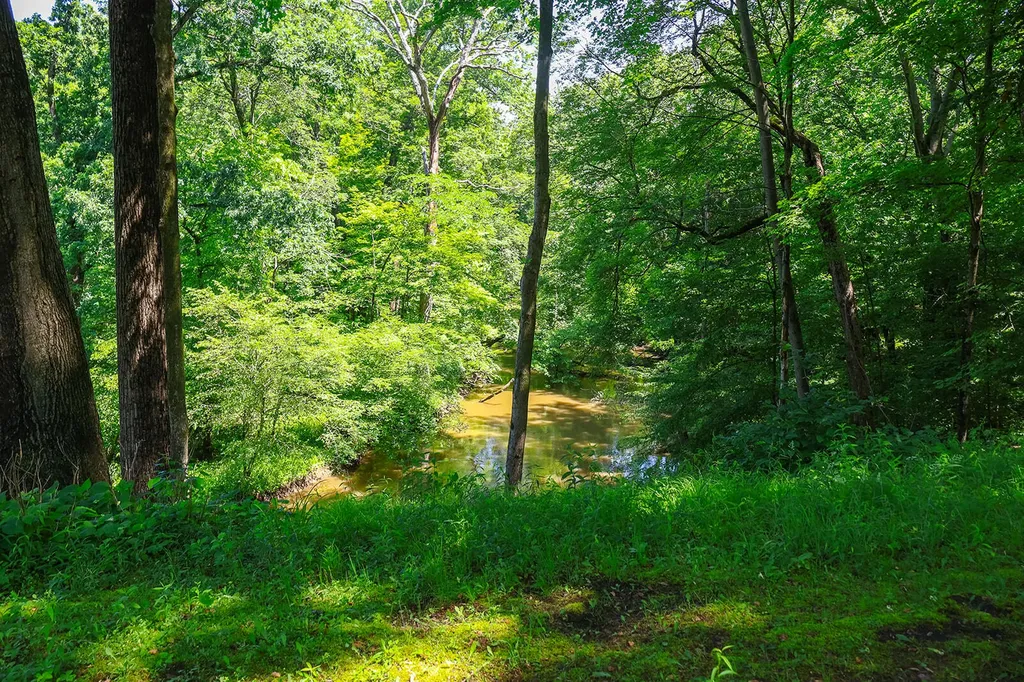6697 Warren Woods Road Chikaming Township MI 49128