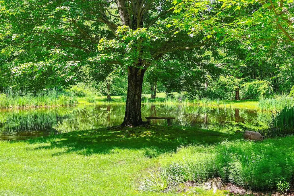 6697 Warren Woods Road Chikaming Township MI 49128