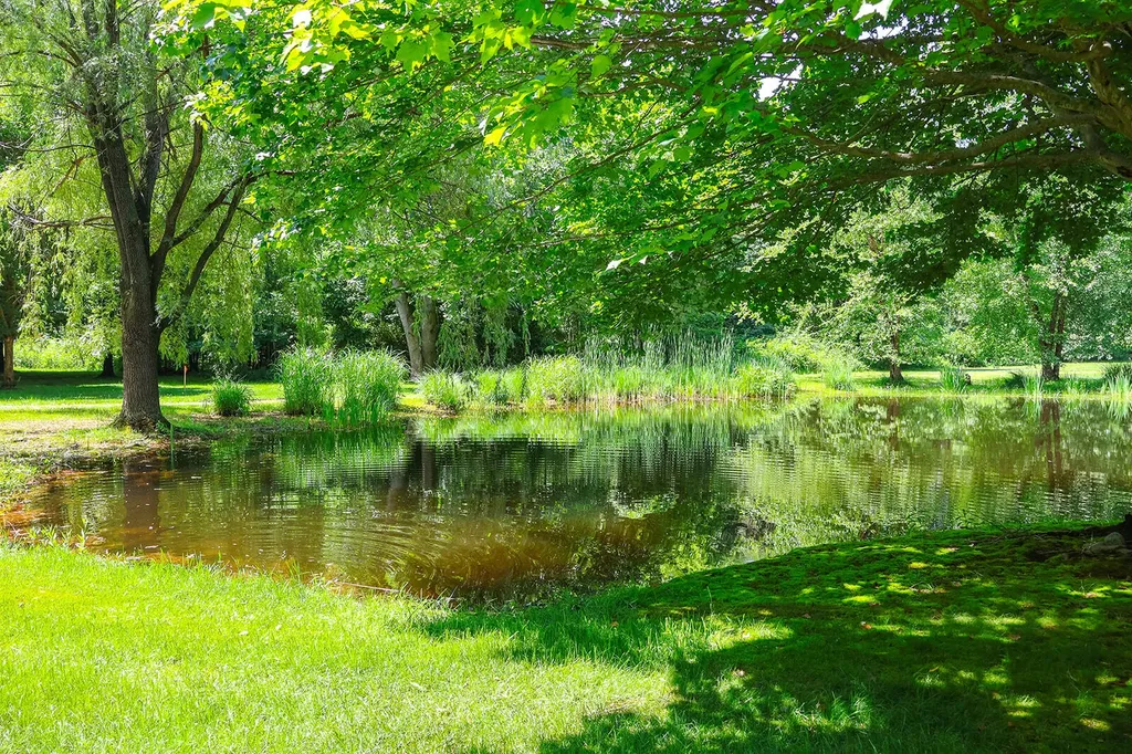 6697 Warren Woods Road Chikaming Township MI 49128