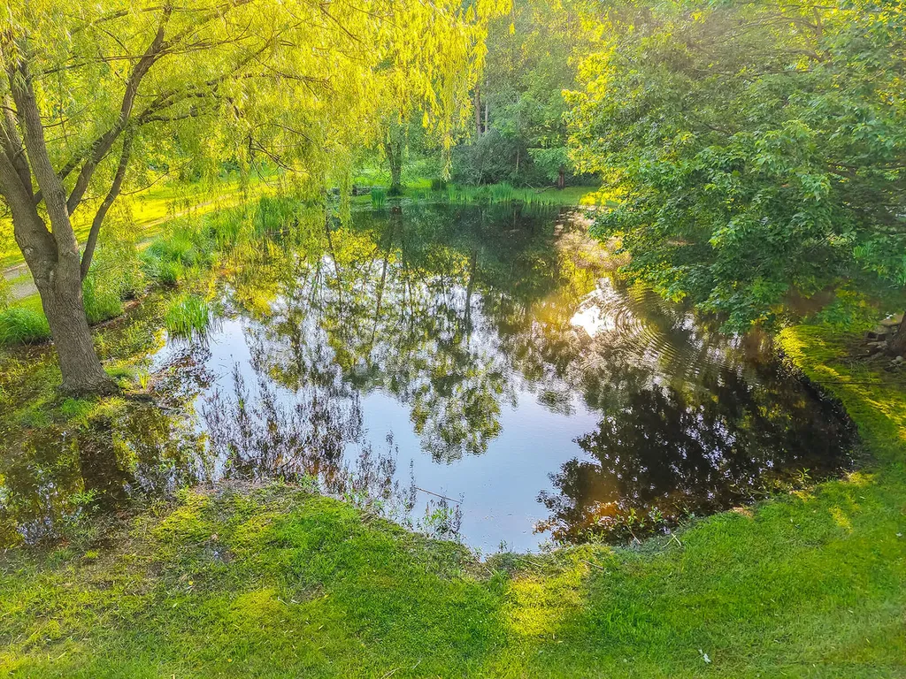 6697 Warren Woods Road Chikaming Township MI 49128