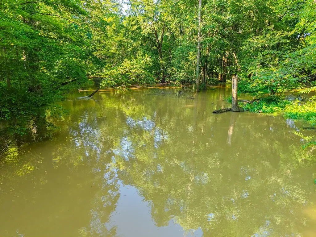 6697 Warren Woods Road Chikaming Township MI 49128