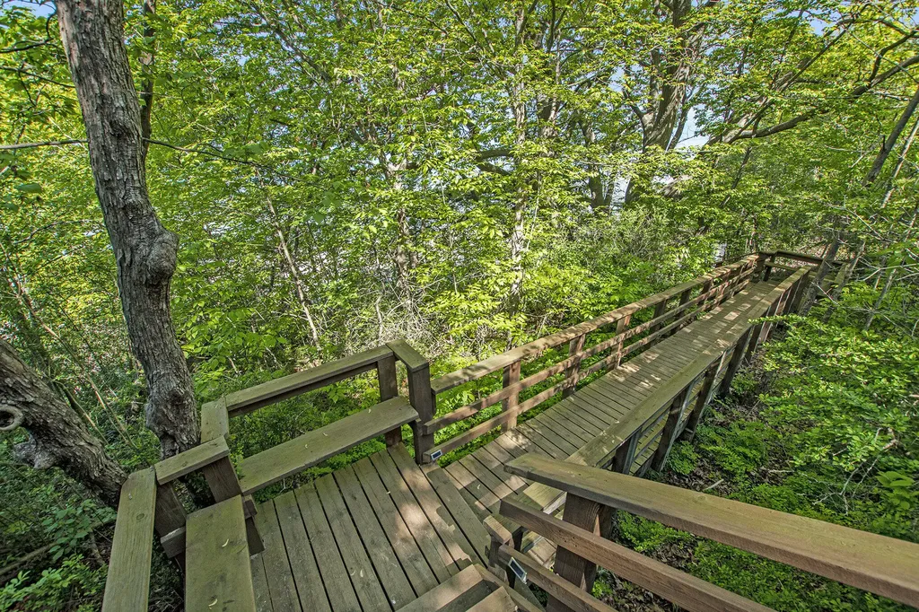 540 East Drive Unknown City MI 49090