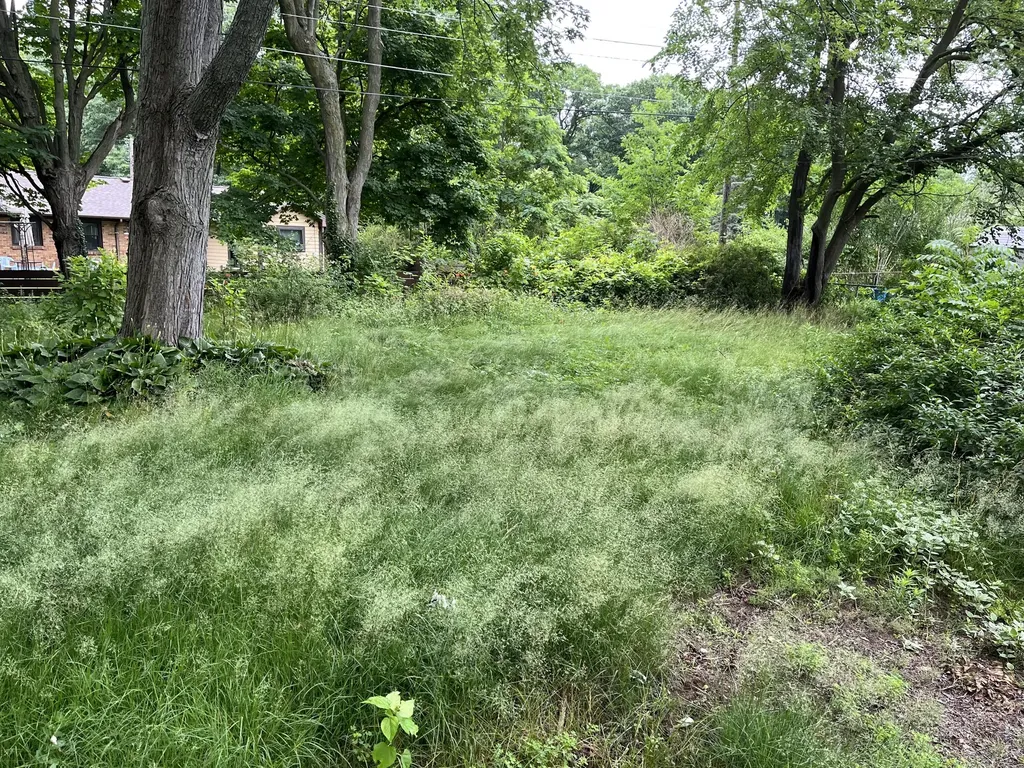 6719 Sunset Drive Coloma Charter Township MI 49038