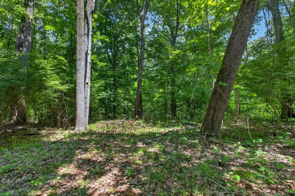 7110 Horseshoe Drive Chikaming Township MI 49128
