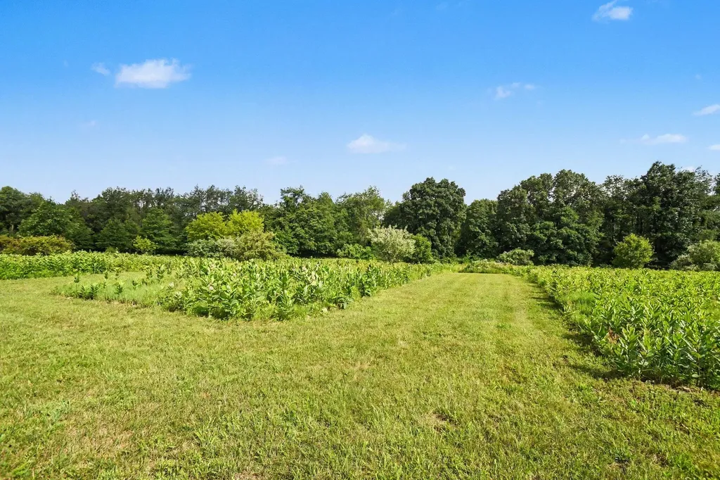 3181 Chamberlain Road Buchanan Township MI 49107