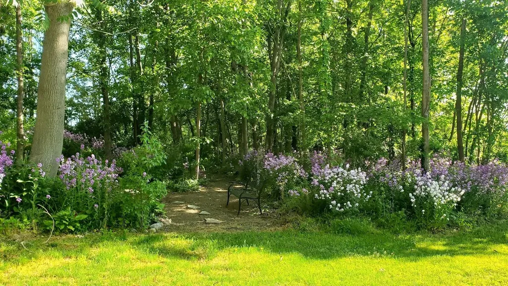 63062 Lakeshore Drive Keeler Township MI 49047