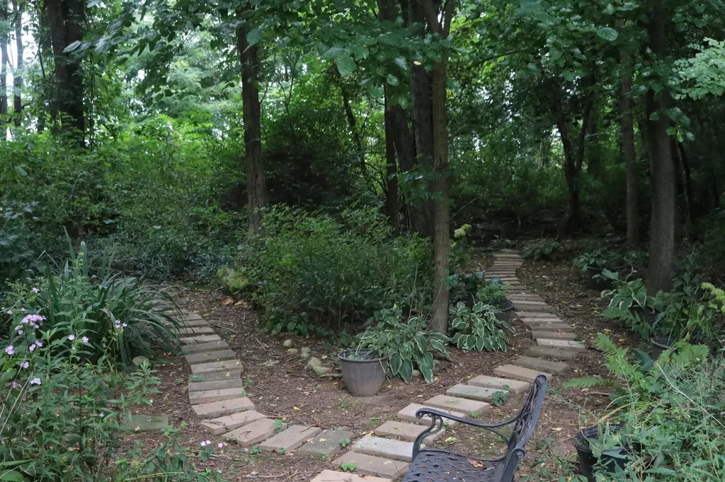 63062 Lakeshore Drive Keeler Township MI 49047