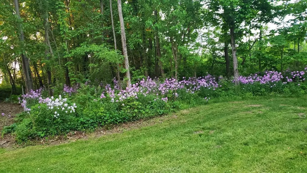 63062 Lakeshore Drive Keeler Township MI 49047
