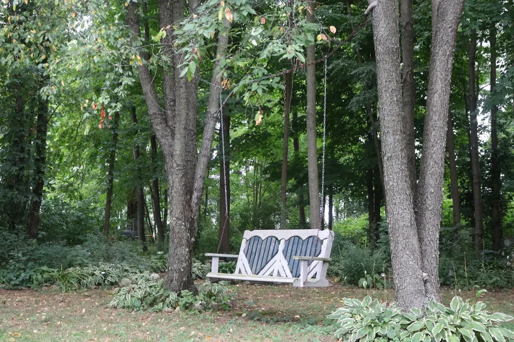 63062 Lakeshore Drive Keeler Township MI 49047