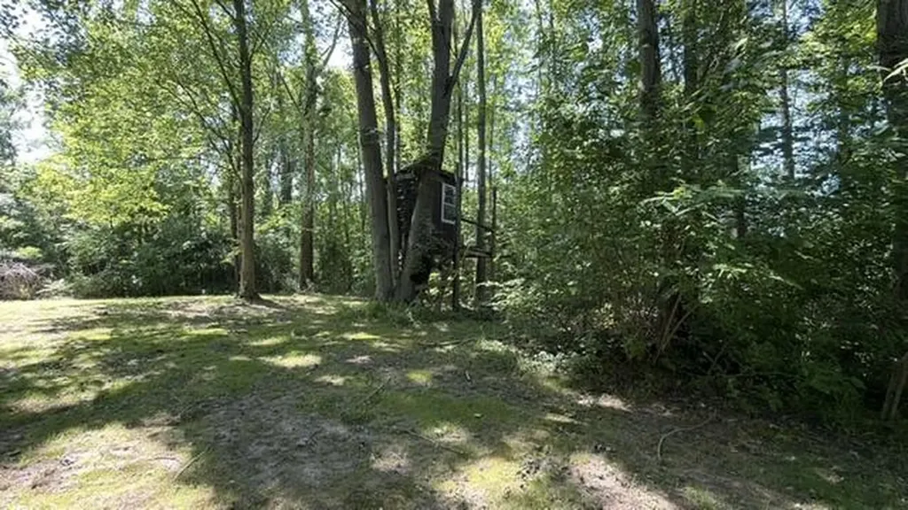 4084 Hartman Road Sodus Township MI 49126