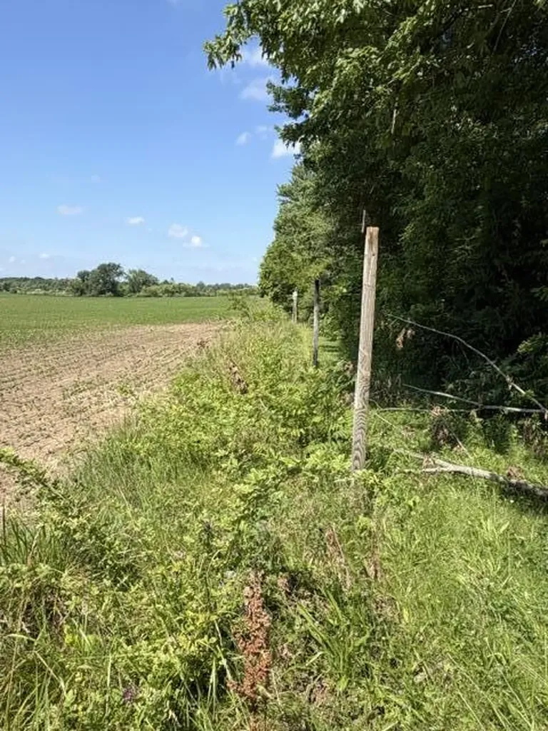 4084 Hartman Road Sodus Township MI 49126