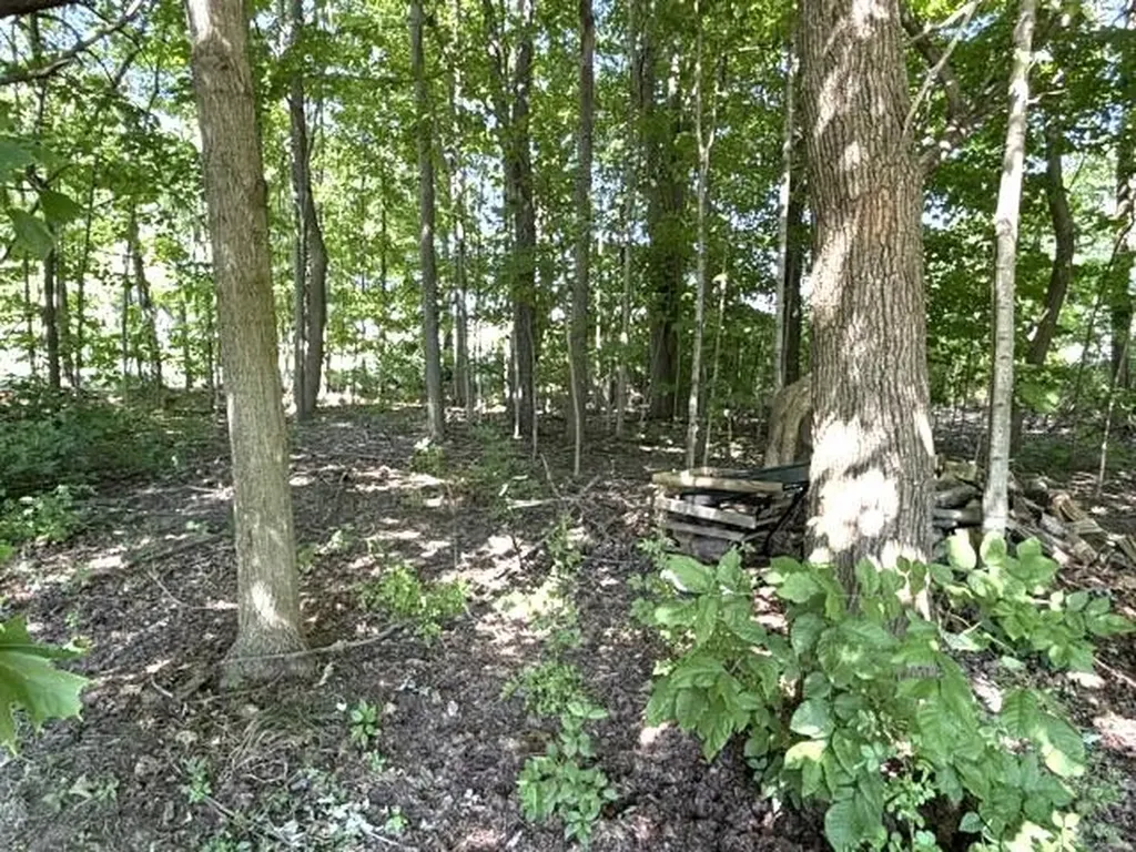 4084 Hartman Road Sodus Township MI 49126