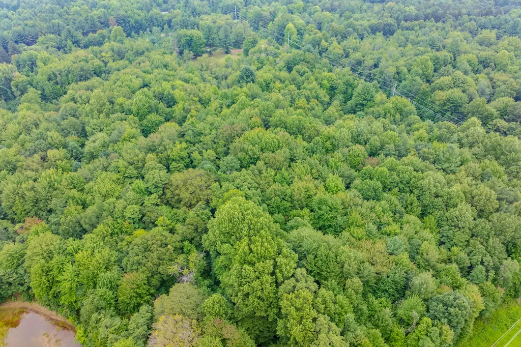 75583 24th Avenue Covert Township MI 49090