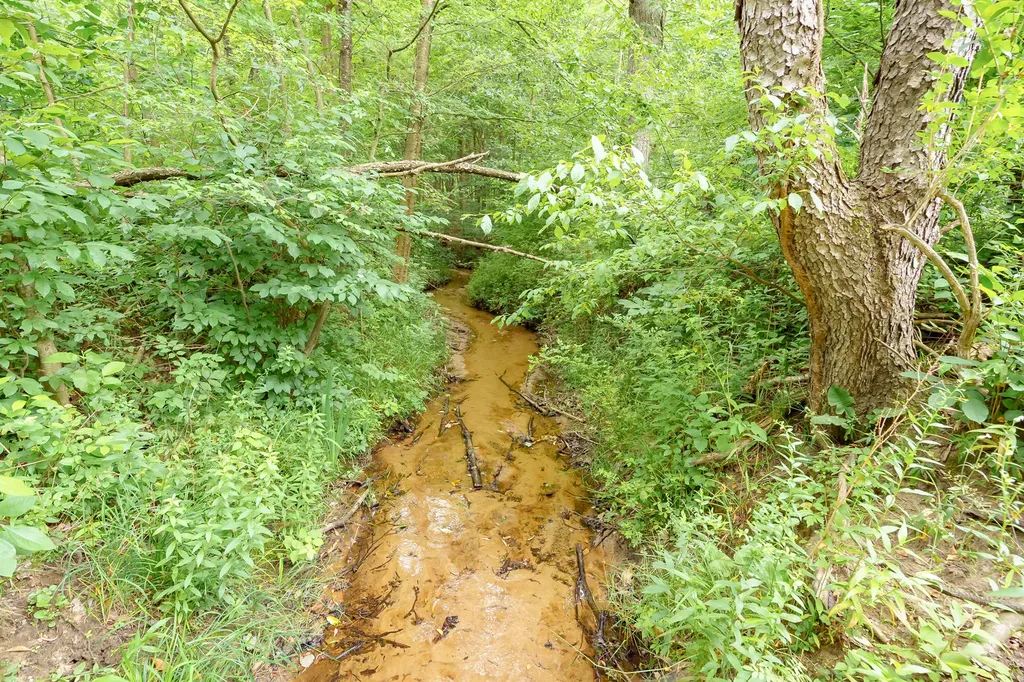 75583 24th Avenue Covert Township MI 49090