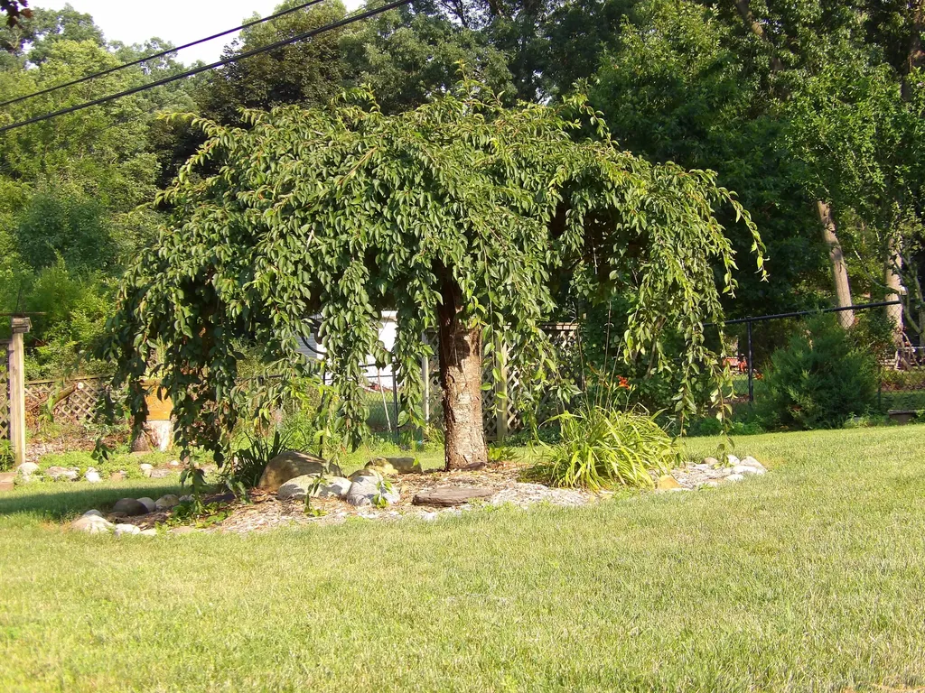 2432 Allerton Street Niles Township MI 49120