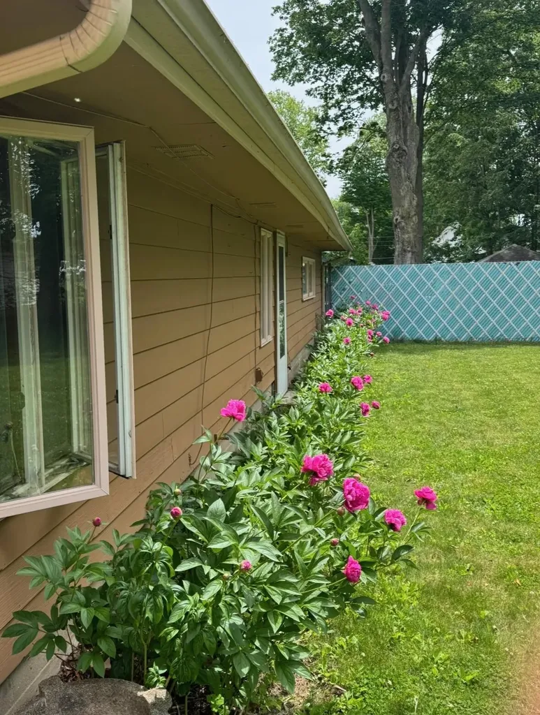 110 S East Street Cassopolis Village MI 49031