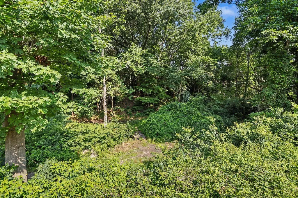 1555 Cardinal Drive Lincoln Charter Township MI 49085