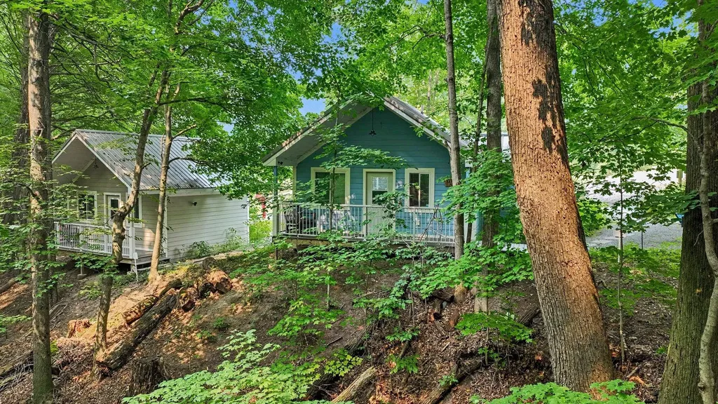 57440 Michigan 40 Newberg Township MI 49067
