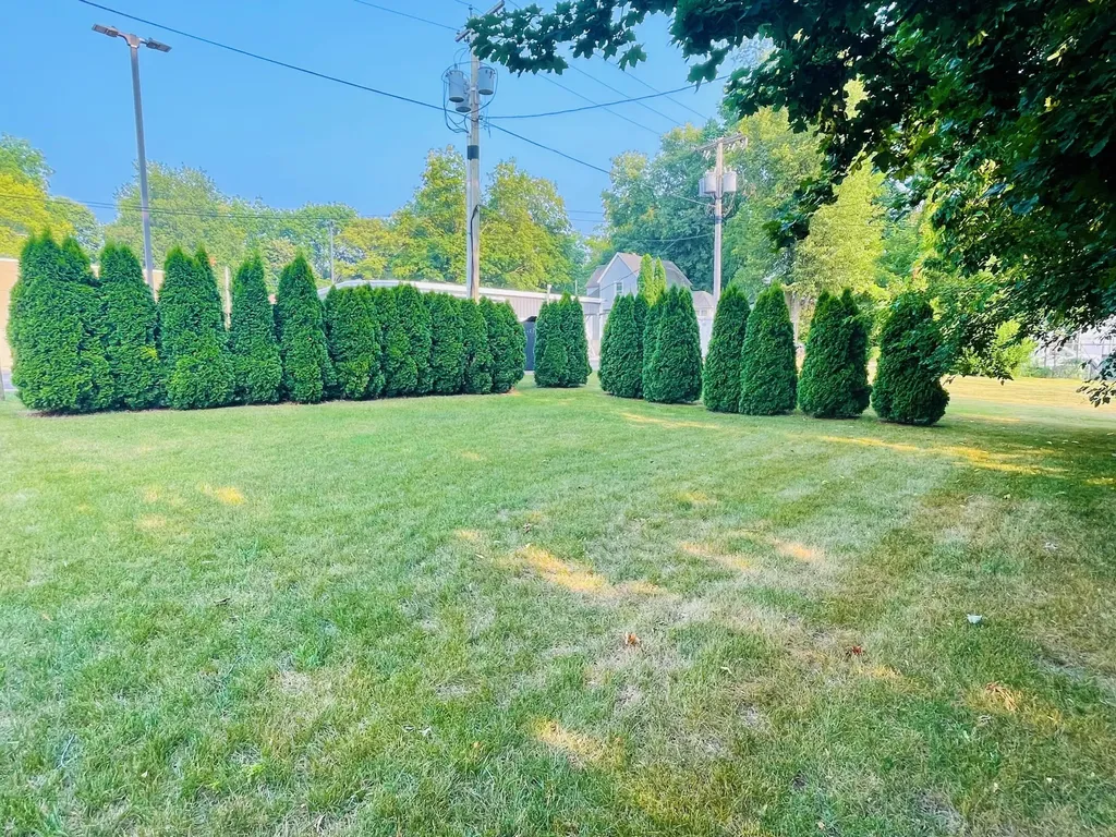 206 E State Street Cassopolis Village MI 49031