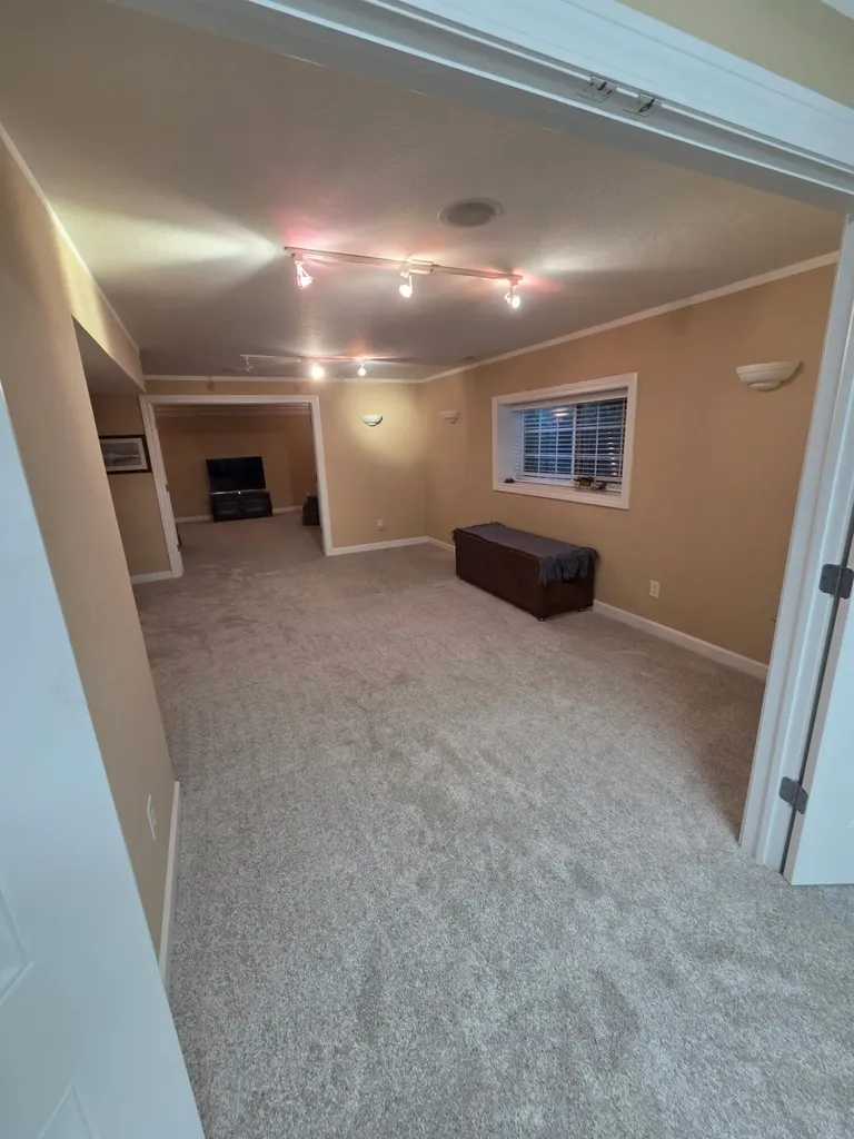 578 Wittenberg Path Royalton Township MI 49085