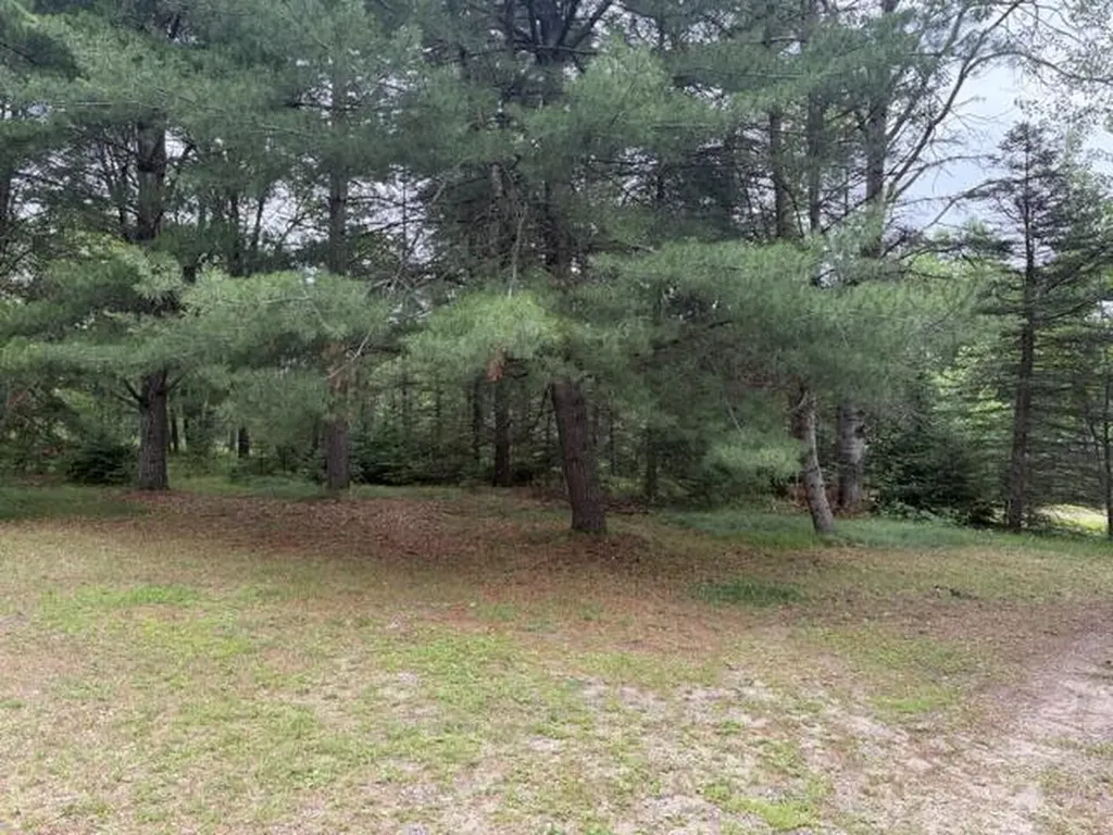2224 Irish Way South Branch Township MI 48653