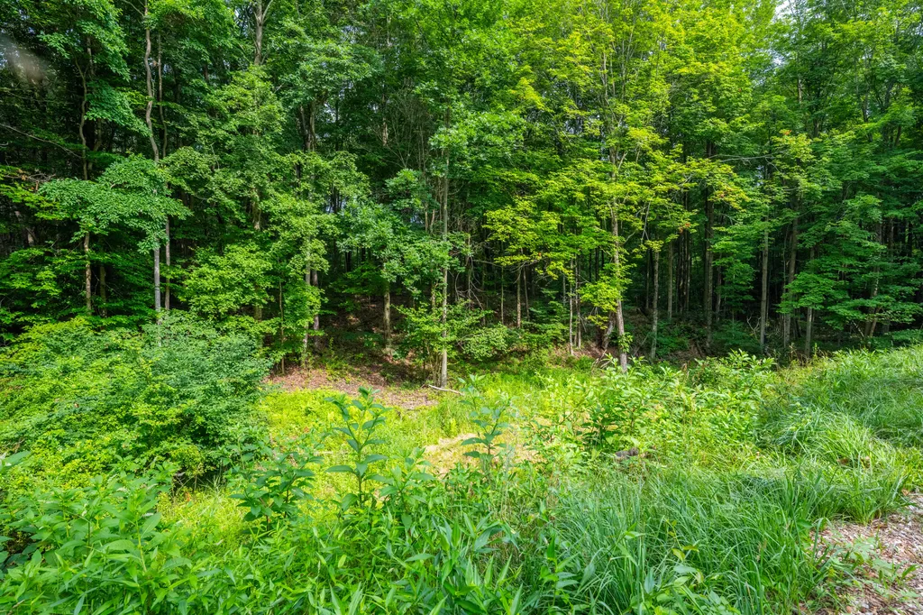 412 63rd Street Casco Township MI 49090