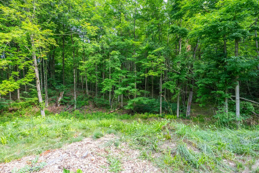 412 63rd Street Casco Township MI 49090