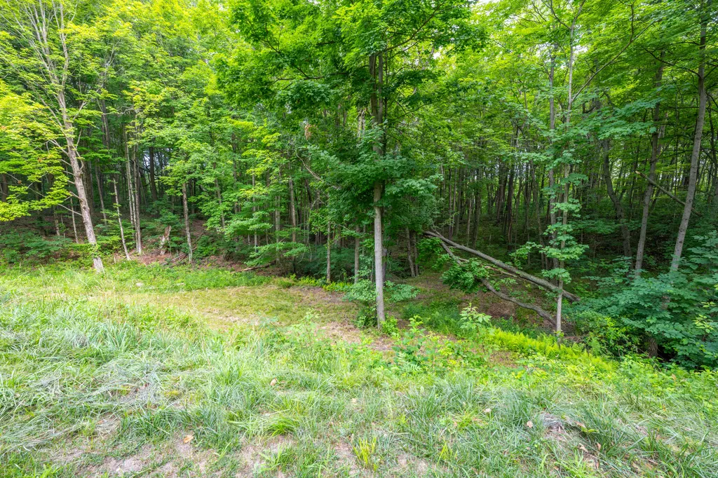 412 63rd Street Casco Township MI 49090