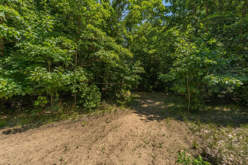 87 67th Street Casco Township MI 49090
